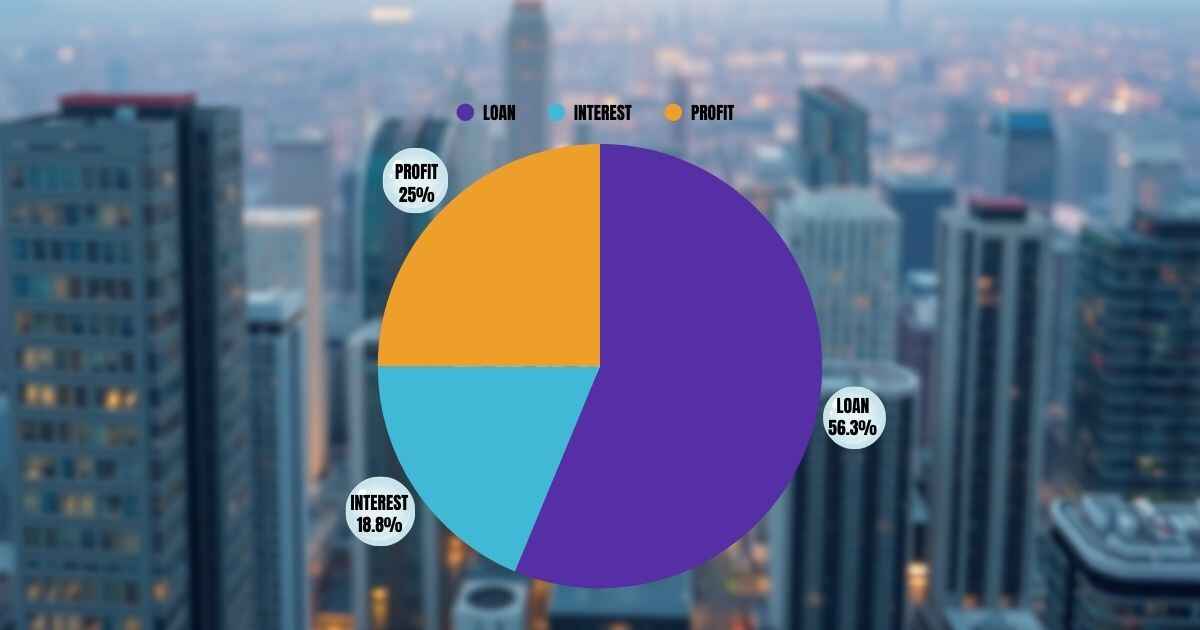 A pie chart showing the revenue, capital and interest rate of loan apps.